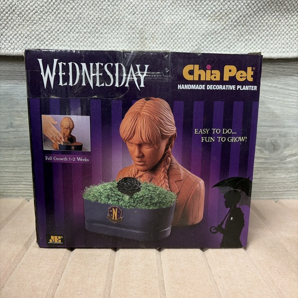 Chia Pet Wednesday Decorative Planter New (E5)